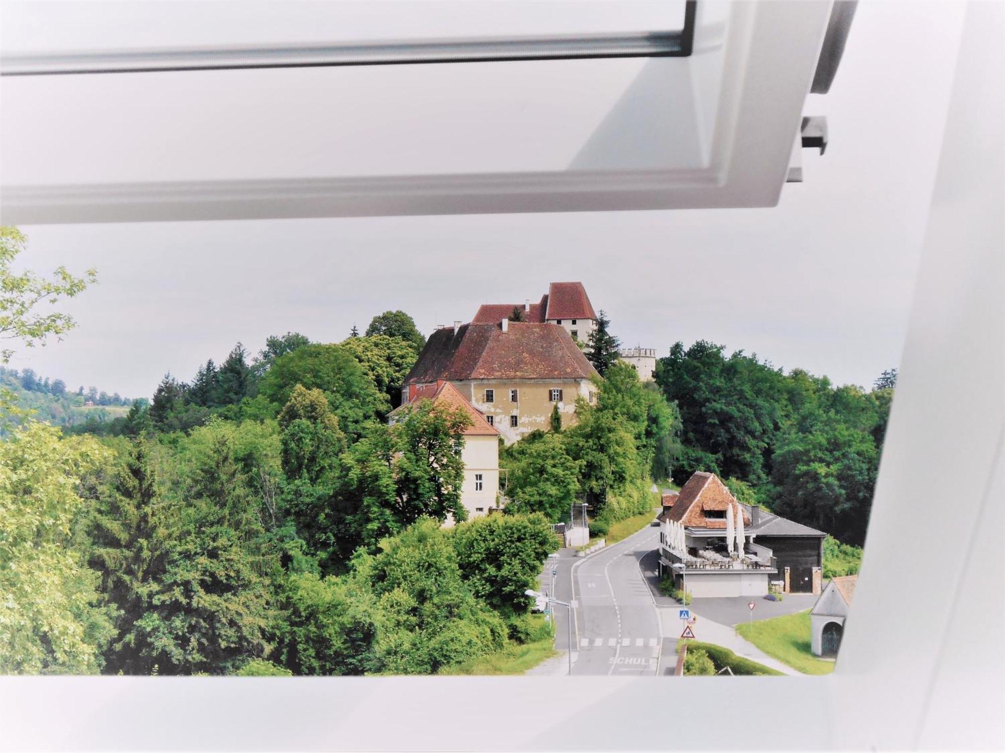 Ferienwohnungen Karin Am Seggauberg Лайбниц Стая снимка